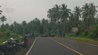 Soal Pemagaran Lahan di Desa Sea Minahasa, Pihak Perusahaan Minta Hormati Proses Hukum