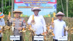 Target Swasembada, Luas Tanam Jagung di Gorontalo Ditingkatkan