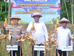Target Swasembada, Luas Tanam Jagung di Gorontalo Ditingkatkan