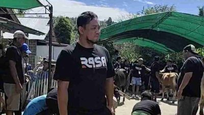 Keluarga Rahman Salehe dan Salsabilah Mamonto Salurkan 93 Sapi Kurban untuk Warga