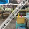 Judi Sabung Ayam di Minanga Berdiri Megah! Yuk Intip Kesaktian Pengelola