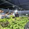 Tinjau Stand Pameran PENAS XVII 2026, Hengky Honandar: Ini Menjadi Ruang Belajar Untuk Serap Inovasi Pertanian dan Perikanan
