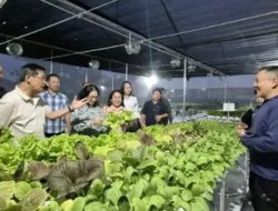 Tinjau Stand Pameran PENAS XVII 2026, Hengky Honandar: Ini Menjadi Ruang Belajar Untuk Serap Inovasi Pertanian dan Perikanan