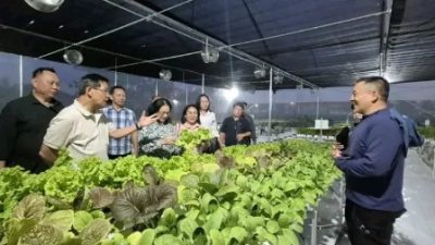 Tinjau Stand Pameran PENAS XVII 2026, Hengky Honandar: Ini Menjadi Ruang Belajar Untuk Serap Inovasi Pertanian dan Perikanan