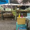 Judi Sabung Ayam di Minanga Berdiri Megah! Yuk Intip Kesaktian Pengelola