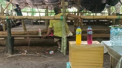 Judi Sabung Ayam di Minanga Berdiri Megah! Yuk Intip Kesaktian Pengelola