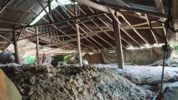 PETI Lobong Disorot, Bak Rendaman di Pinggir Sungai Ongkag Diminta Segera Ditertibkan