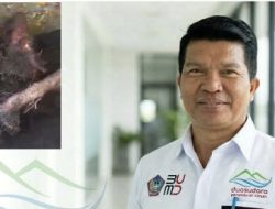 Bukan Kali Pertama, Akar Mahoni Kembali Rusak Pipa Perumda Duasudara Bitung