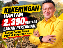 Kekeringan Hantam 2.390 Hektare Lahan Pertanian, Politisi Golkar Desak Pemkab Bergerak Cepat