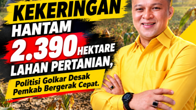 Kekeringan Hantam 2.390 Hektare Lahan Pertanian, Politisi Golkar Desak Pemkab Bergerak Cepat